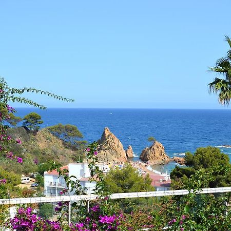 Blanca Paloma - Holiday House Villa Tossa de Mar Ruang foto