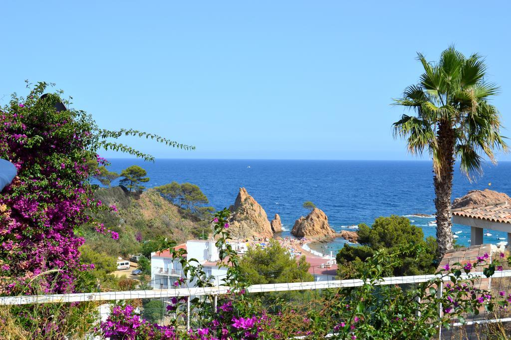 Blanca Paloma - Holiday House Villa Tossa de Mar Ruang foto